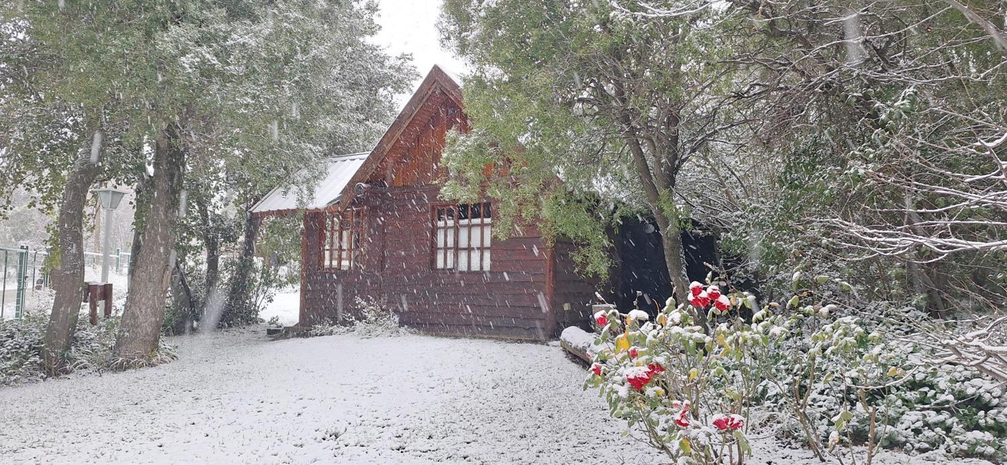 De Las Rosas Bariloche エクステリア 写真