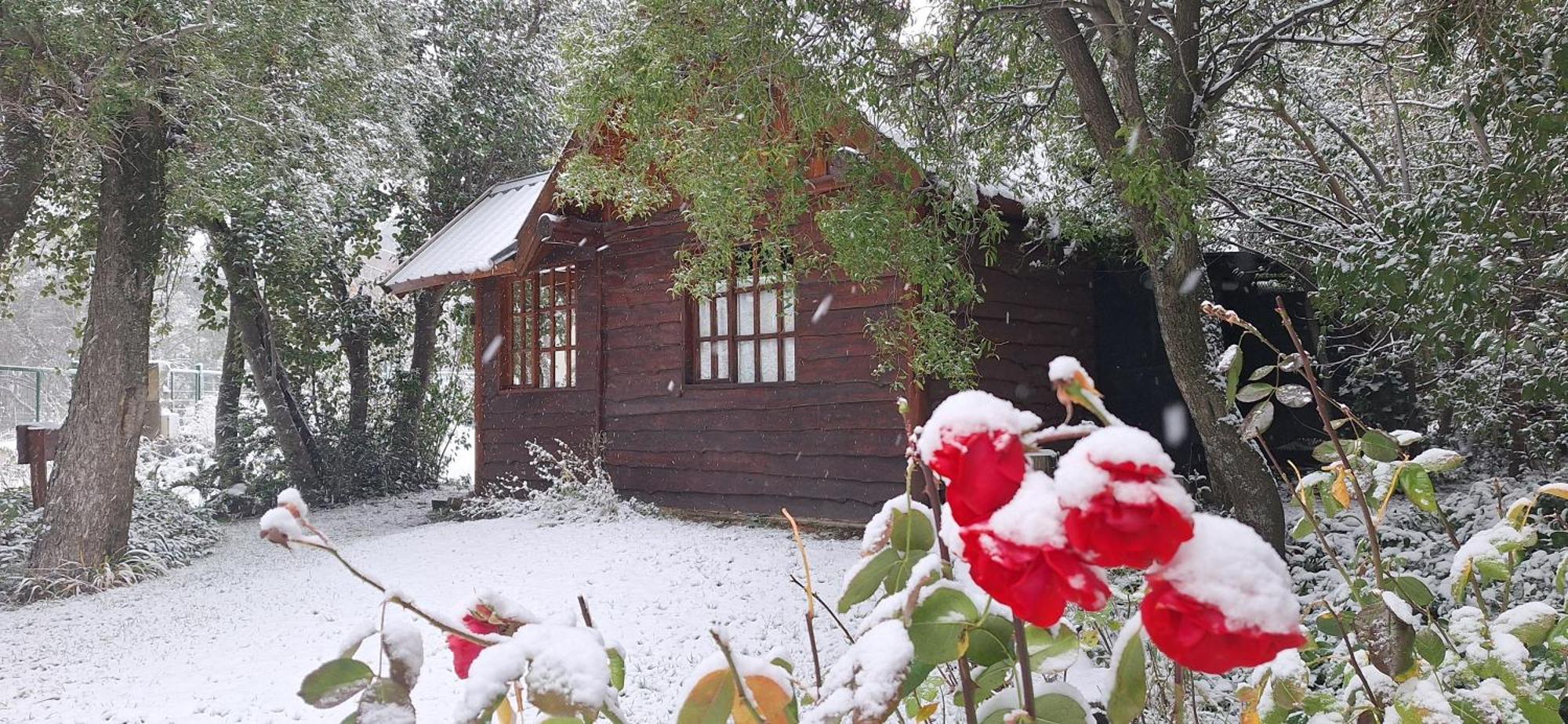 De Las Rosas Bariloche エクステリア 写真