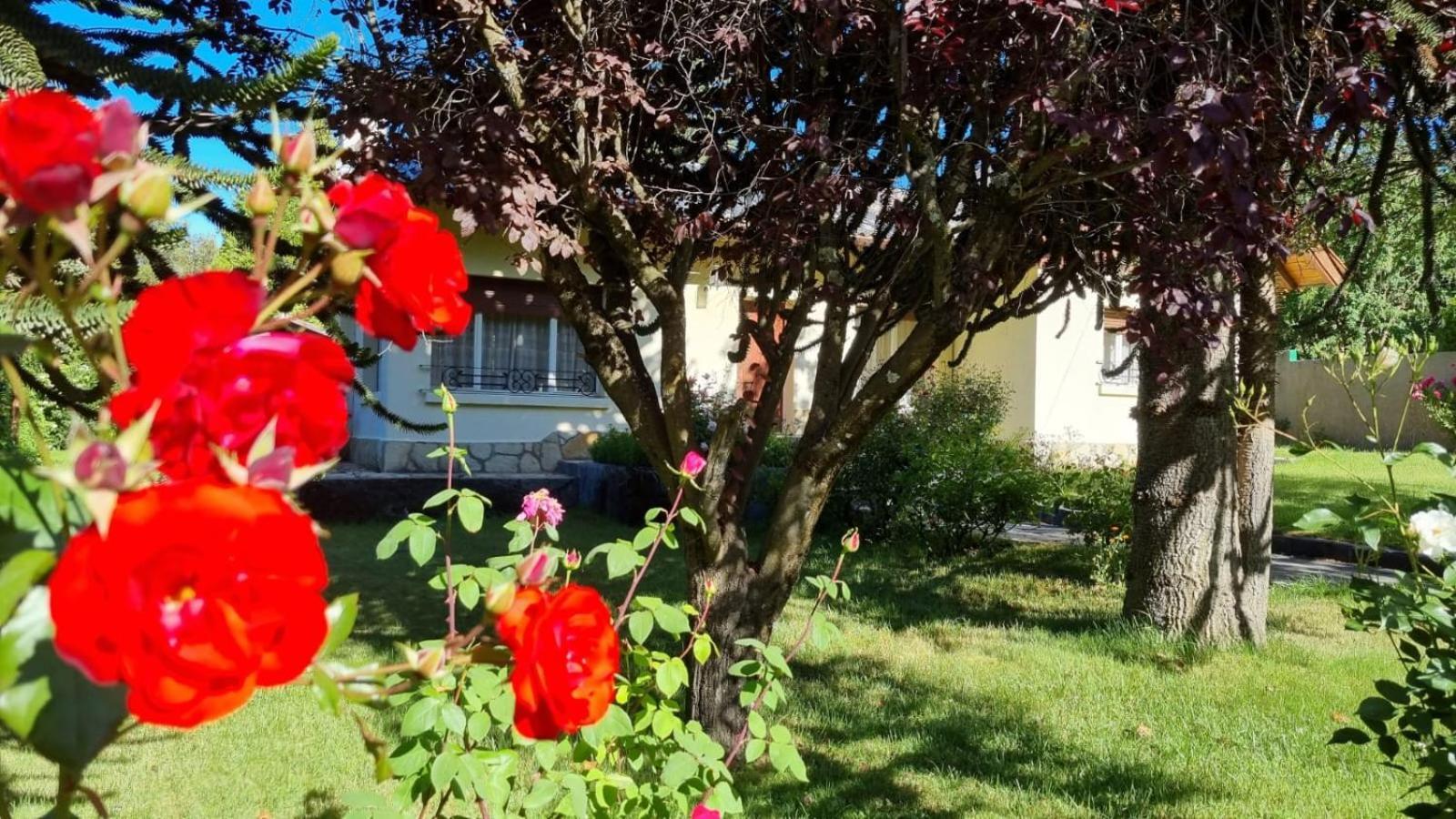 De Las Rosas Bariloche エクステリア 写真